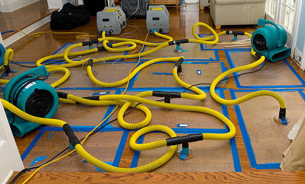 Professional Burst Pipe Water Damage technician working in Milton, PA